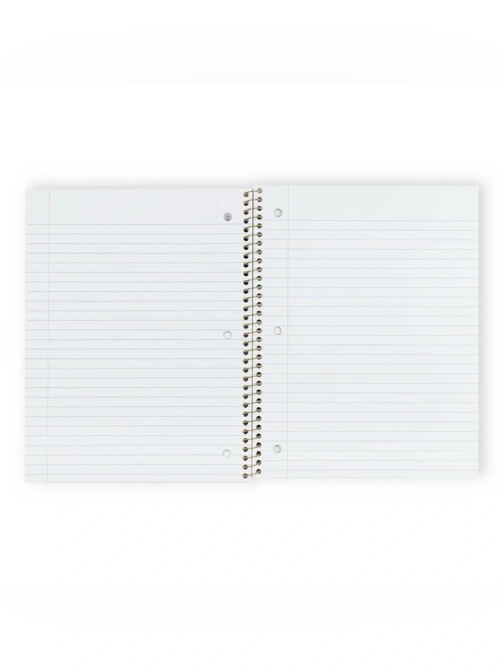 LoveShackFancy Notebook Everblooming Rosettes Whisper blue